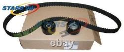 0831v4 Original Peugeot / Citroen Set Of Distribution Belts For