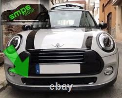 Mini One Cooper F56, F55, F57 Bright Colorful Grille Cover, Lower Section