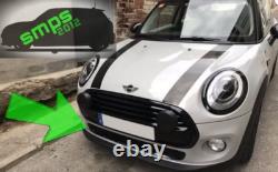 Mini One Cooper F56, F55, F57 Bright Colorful Grille Cover, Lower Section