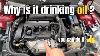 Why Is My Mini Cooper Using So Much Oil