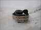 Mini One Cooper R56 2010 Ceinture De Sécurité Avant 72117261941 Djx1035